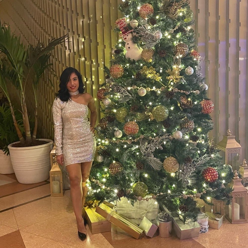 CRB Silver Sequence Dress